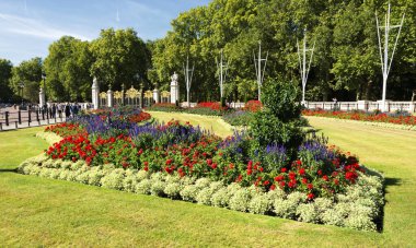 Londra 'da parkta çiçekler