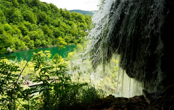 Detail Plitvice National Park Croatia — стокове фото