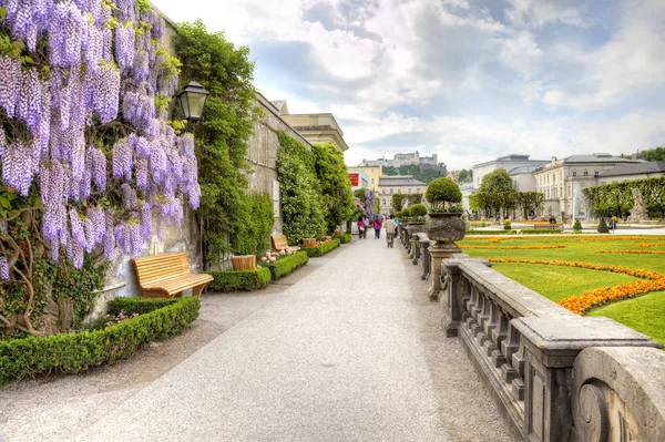 Salzburgo, um jardim é Mirabelle (Mirabelgarten ) — Fotografia de Stock