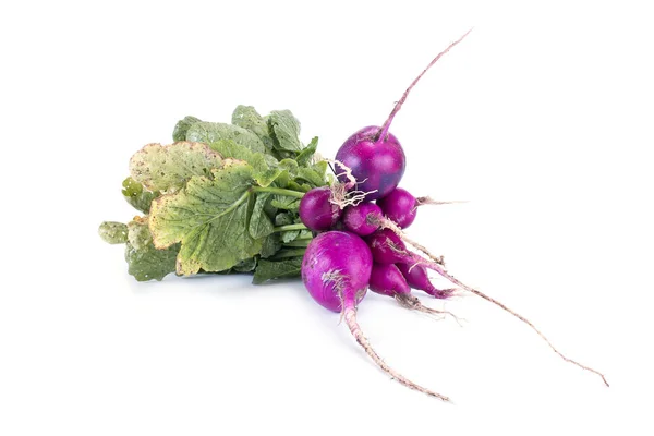 A bunch of radishes — Stock Photo, Image