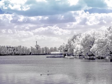 Lake beyaz. Kızılötesi fotoğraf