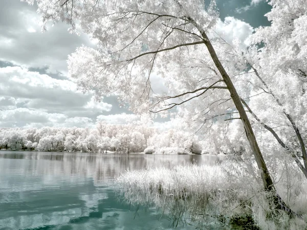 Lake White. Fotografia a infrarossi — Foto Stock