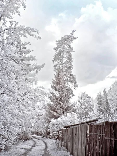 Ülkede çit. Kızılötesi fotoğraf — Stok fotoğraf