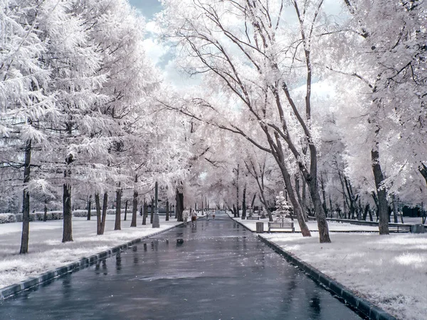 Alley in the park. Infrared photography — Stock Photo, Image