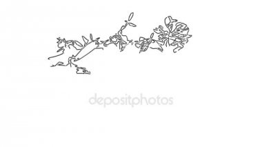 Bitki Vicia veya fare bezelye. HD video