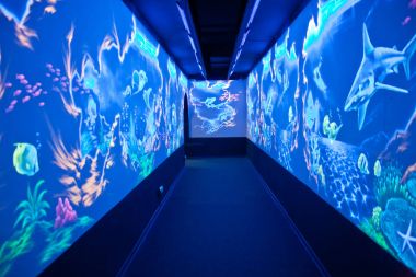 Şehir Oceanarium. Şehir Soçi, Adler Microdistrict. İç