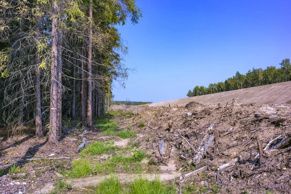 Budowy dróg — Zdjęcie stockowe