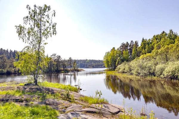 Wyspy Valaam. Wybrzeże zatoki — Zdjęcie stockowe