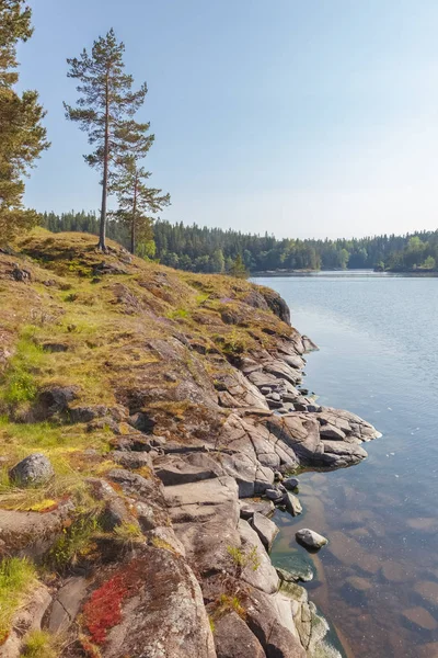 Valaam Island. Kust van de baai — Stockfoto