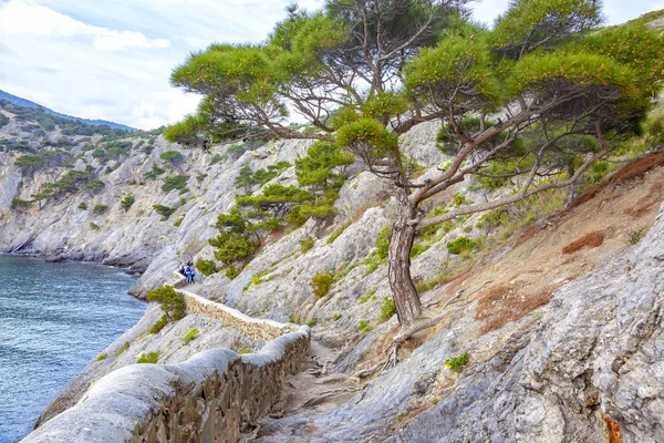 Suç. Golitsyn 'in izini sür. Koba-Kaya Dağı, Novyy Sve yerleşkesi. — Stok fotoğraf