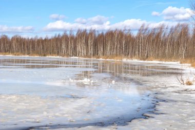 Baharın başında. Göl