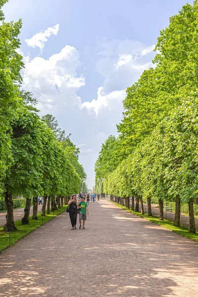 Peterhofe. Park Nižnij — Stock fotografie