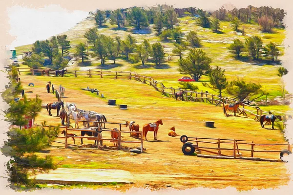 Troupeau Chevaux Pour Des Promenades Équestres Dans Une Livre Sur — Photo