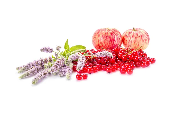 Rote Johannisbeeren Äpfel Und Ein Zweig Minze Isoliert Auf Weißem — Stockfoto