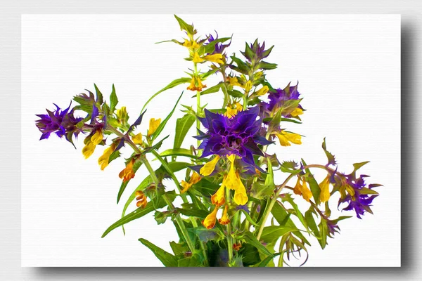 Flowering Plant Melampyrum Nemorosum Ivan Marya Oil Paint Canvas Picture — Stock Photo, Image