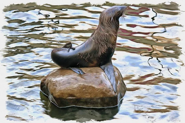 Oil paint on canvas. Picture with photo, imitation of painting. Illustration. Northern fur seal