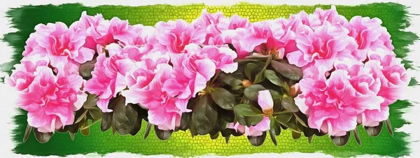 Oil Paint Canvas Picture Photo Imitation Painting Illustration Beautiful Potted — Stock Photo, Image