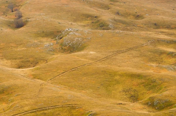 Pastoraal Landschap Met Een Kronkelend Terrein — Stockfoto