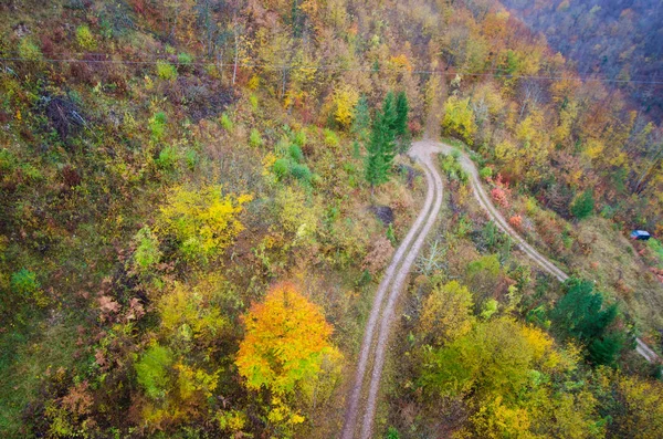 Estrada Montanha Com Cores Outono Imagens De Bancos De Imagens