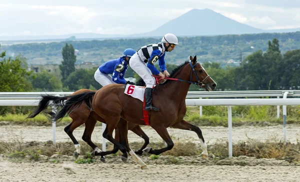 Гонки на конях у П "ятигорську. — стокове фото