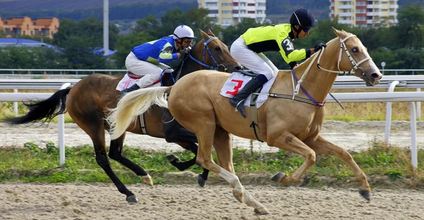 Corrida de cavalos em Pyatigorsk — Fotografia de Stock