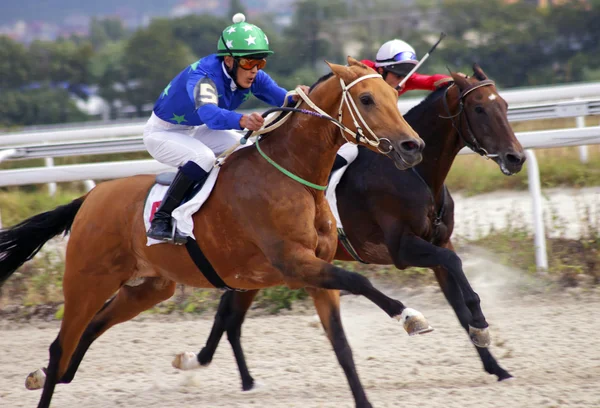 Horse racing in Pyatigorsk Stock Picture