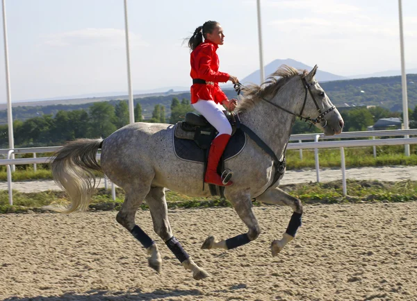 Trick équitation dans Pyatigorsk — Photo