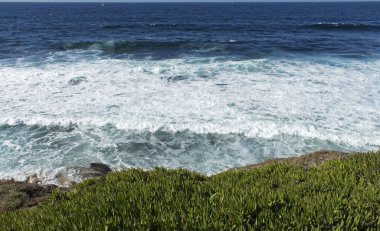 Gün boyunca kıyı La Jolla