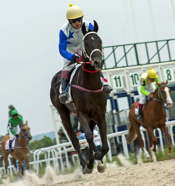 Terminar corridas de cavalos — Fotografia de Stock