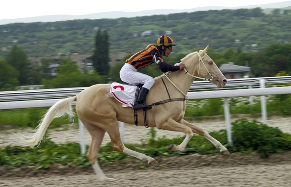Wyścigów konnych na wiosnę nagrody — Zdjęcie stockowe
