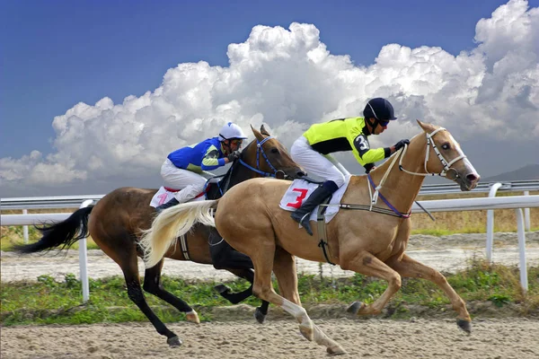 Pferderennen um die Siegereichen. — Stockfoto