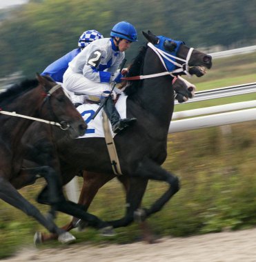 At yarışı ödül Oaks için.
