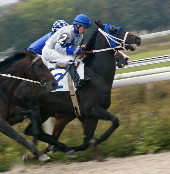 Horse race for the prize Oaks.