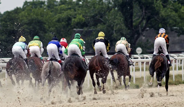 Carreras de caballos en Pyatigorsk — Foto de Stock