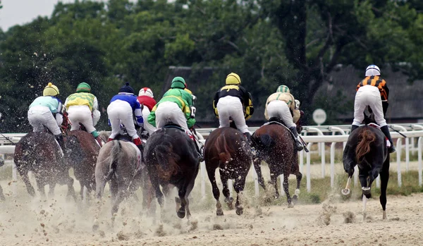 Corrida de cavalos em Pyatigorsk — Fotografia de Stock