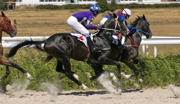 Horse racing in Pyatigorsk Stock Picture