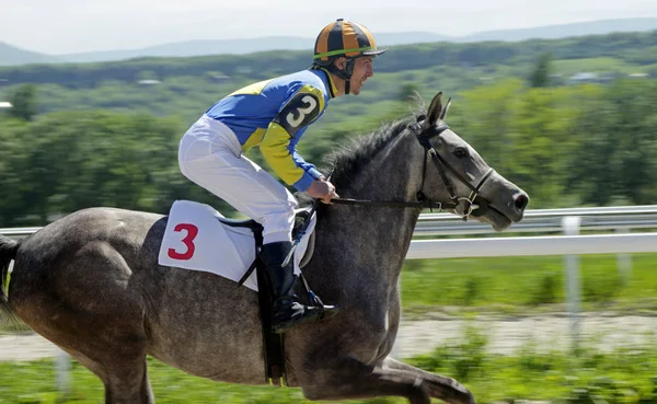 Wyścigi konne w Pyatigorsku. — Zdjęcie stockowe