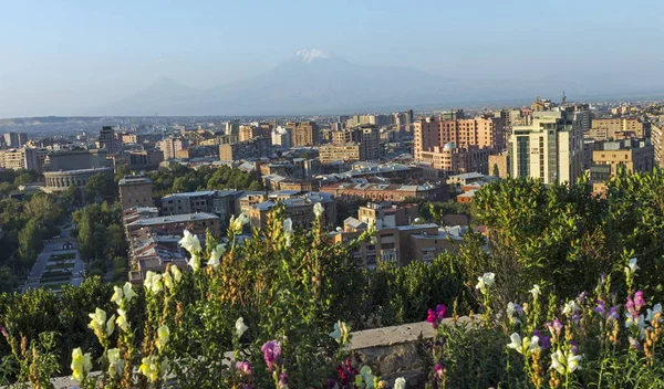 Utsikt över berget Ararat och Yerevan stad — Stockfoto