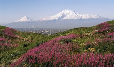 Görünüm Ararat dağı