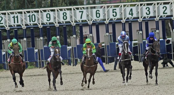Começar a corrida de cavalos em Pyatigorsk — Fotografia de Stock