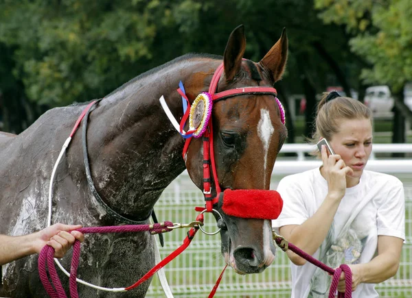 Prêmio vencedor da corrida de cavalos — Fotografia de Stock