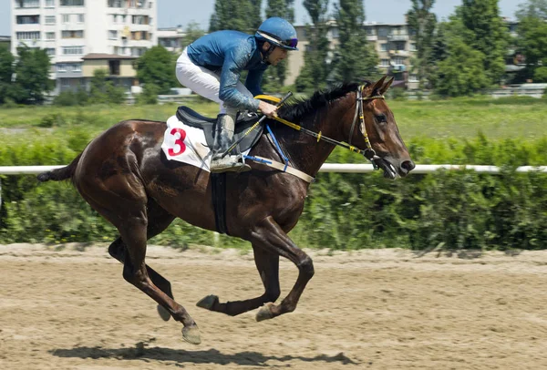 Corrida de cavalos em Nalchik — Fotografia de Stock