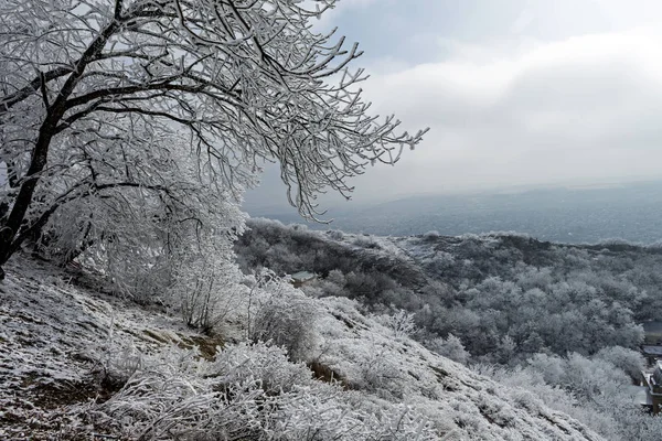 Paesaggio invernale del Caucaso — Foto Stock