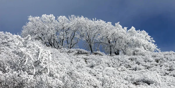 Kaukasuksen talvimaisema — kuvapankkivalokuva