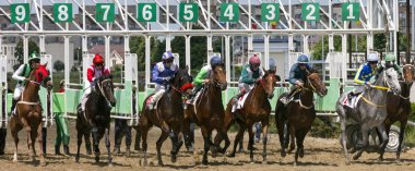 at yarışı Başlat