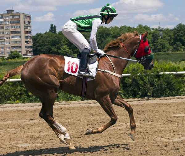 ナリチクの競馬 — ストック写真