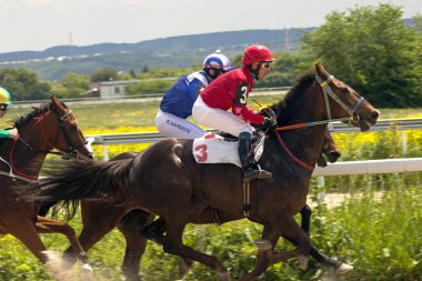 Pyatigorsk 'ta at yarışı 