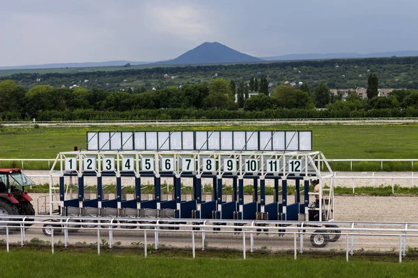 ピャチゴルスクで競走馬の前に — ストック写真