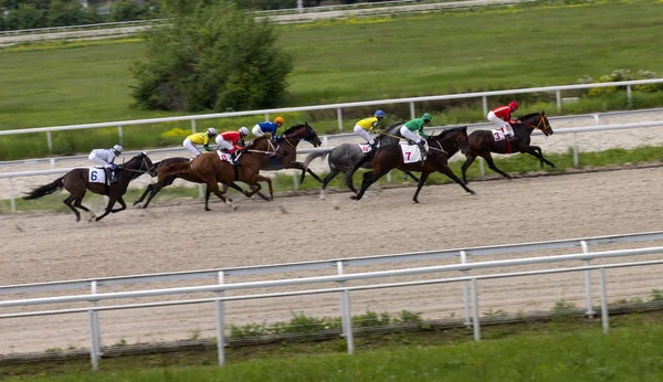 Wyścigi konne w Pyatigorsku — Zdjęcie stockowe