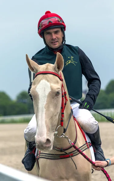 Vor Pferd Rennen für den traditionellen Preis Gul — Stockfoto